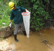 Biomonitoring and Bioassay
